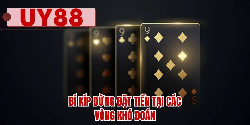 Bí kíp dừng đặt tiền tại các vòng khó đoán